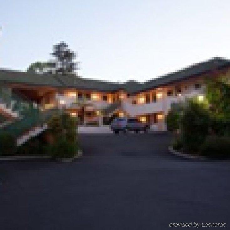 Ashwood Manor Motor Lodge Hamilton Bagian luar foto
